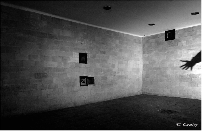 Copyright Stefano Maselli
